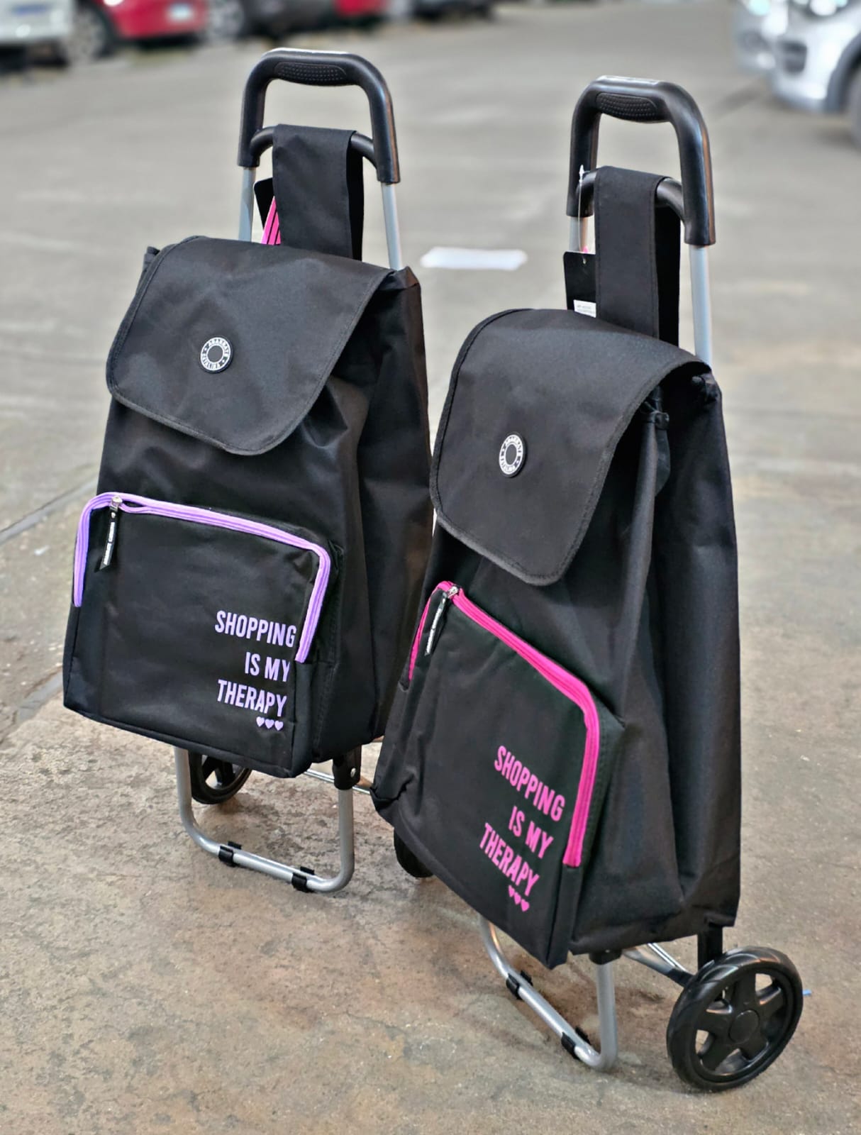 🛒 Carrito de compras plegable con bolso reforzado  